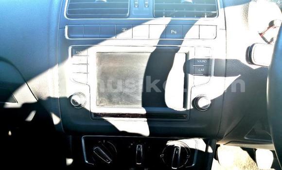 Tenga Tsaru Volkswagen Polo Bhuruu Mota in Harare in Harare Tenga Tsaru Volkswagen Polo Bhuruu Mota in Harare in Harare