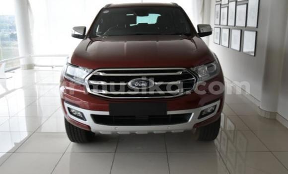 Buy Used Ford Everest Red Car in Bulawayo in Bulawayo