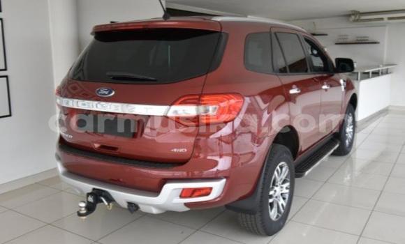 Tenga Tsaru Ford Everest Tsvuku Mota in Bulawayo in Bulawayo Tenga Tsaru Ford Everest Tsvuku Mota in Bulawayo in Bulawayo