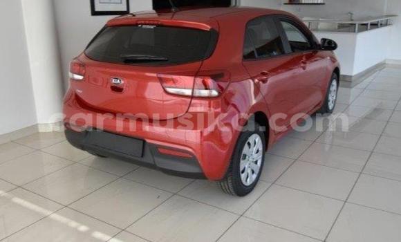Acheter Occasion Voiture Kia Rio Beige à Beitbridge, Matabeleland South Acheter Occasion Voiture Kia Rio Beige à Beitbridge, Matabeleland South