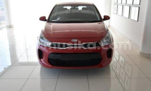 Buy Used Kia Rio Beige Car in Beitbridge in Matabeleland South
