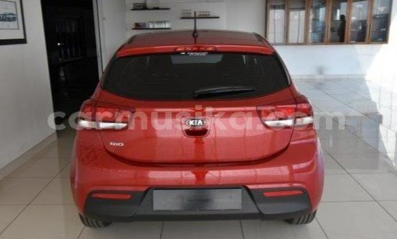 Acheter Occasion Voiture Kia Rio Beige à Beitbridge, Matabeleland South Acheter Occasion Voiture Kia Rio Beige à Beitbridge, Matabeleland South