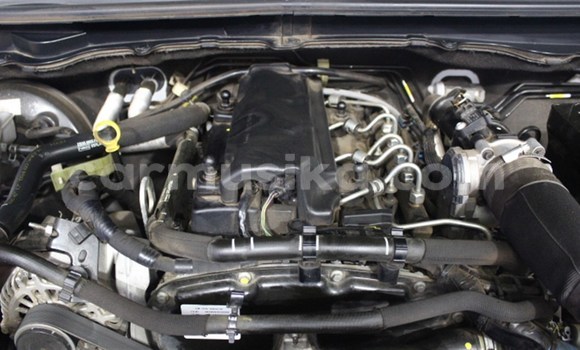 Tenga Tsaru Ford Ranger Chena Mota in Beitbridge in Matabeleland South Tenga Tsaru Ford Ranger Chena Mota in Beitbridge in Matabeleland South