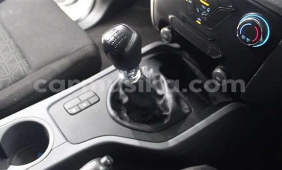 Tenga Tsaru Ford Ranger Chena Mota in Beitbridge in Matabeleland South Tenga Tsaru Ford Ranger Chena Mota in Beitbridge in Matabeleland South