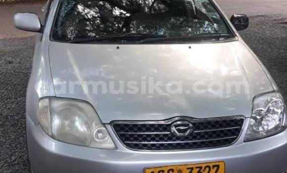 Acheter Occasion Voiture Toyota Corolla Gris à Bulawayo, Bulawayo Acheter Occasion Voiture Toyota Corolla Gris à Bulawayo, Bulawayo