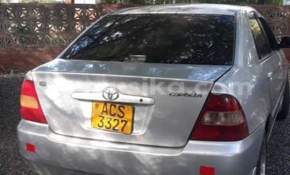 Acheter Occasion Voiture Toyota Corolla Gris à Bulawayo, Bulawayo Acheter Occasion Voiture Toyota Corolla Gris à Bulawayo, Bulawayo