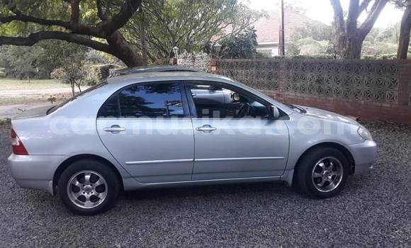 Acheter Occasion Voiture Toyota Corolla Gris à Bulawayo, Bulawayo Acheter Occasion Voiture Toyota Corolla Gris à Bulawayo, Bulawayo