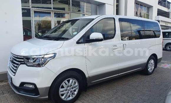Buy Used Hyundai H1 White Car in Beitbridge in Matabeleland South