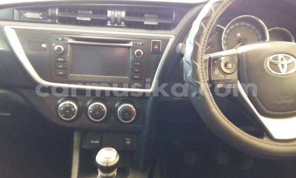 Buy Used Toyota Auris Silver Car in Beitbridge in Matabeleland South Buy Used Toyota Auris Silver Car in Beitbridge in Matabeleland South