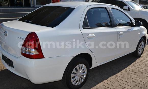 Buy Used Toyota Etios White Car in Beitbridge in Matabeleland South