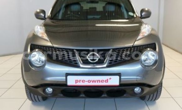 Buy Used Nissan Juke Other Car in Beitbridge in Matabeleland South