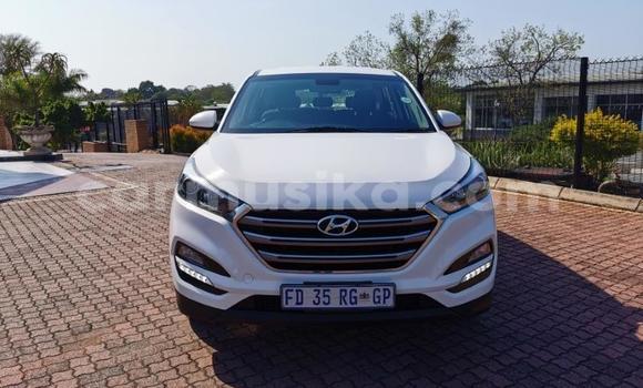 Nunua Ilio tumika Hyundai Tucson Nyeupe Gari ndani ya Beitbridge nchini Matabeleland Kusini