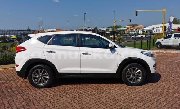 Nunua Ilio tumika Hyundai Tucson Nyeupe Gari ndani ya Beitbridge nchini Matabeleland Kusini Nunua Ilio tumika Hyundai Tucson Nyeupe Gari ndani ya Beitbridge nchini Matabeleland Kusini