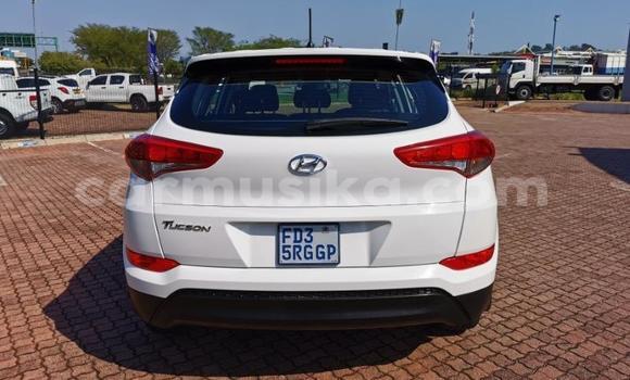 Nunua Ilio tumika Hyundai Tucson Nyeupe Gari ndani ya Beitbridge nchini Matabeleland Kusini Nunua Ilio tumika Hyundai Tucson Nyeupe Gari ndani ya Beitbridge nchini Matabeleland Kusini
