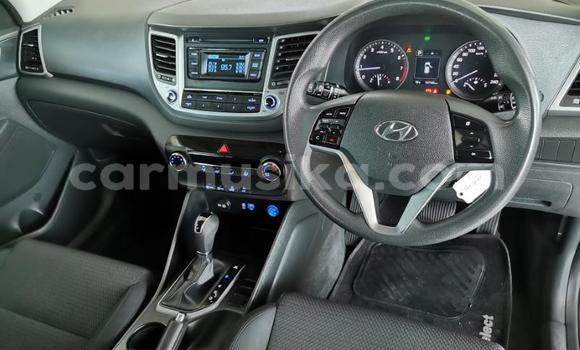 Nunua Ilio tumika Hyundai Tucson Nyeupe Gari ndani ya Beitbridge nchini Matabeleland Kusini Nunua Ilio tumika Hyundai Tucson Nyeupe Gari ndani ya Beitbridge nchini Matabeleland Kusini