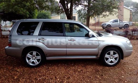 Acheter Occasion Voiture Subaru Forester Gris à Bulawayo, Bulawayo Acheter Occasion Voiture Subaru Forester Gris à Bulawayo, Bulawayo