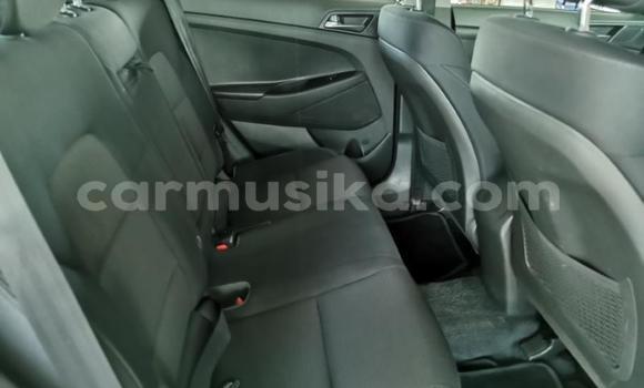 Nunua Ilio tumika Hyundai Tucson Nyeupe Gari ndani ya Beitbridge nchini Matabeleland Kusini Nunua Ilio tumika Hyundai Tucson Nyeupe Gari ndani ya Beitbridge nchini Matabeleland Kusini