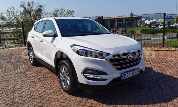 Nunua Ilio tumika Hyundai Tucson Nyeupe Gari ndani ya Beitbridge nchini Matabeleland Kusini Nunua Ilio tumika Hyundai Tucson Nyeupe Gari ndani ya Beitbridge nchini Matabeleland Kusini