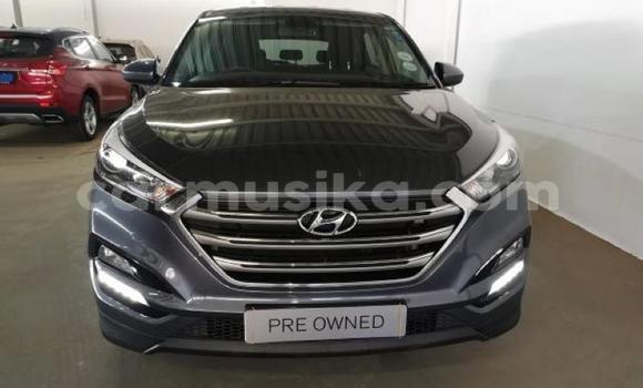 Acheter Occasion Voiture Hyundai Tucson Beige à Beitbridge, Matabeleland South