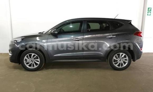 Acheter Occasion Voiture Hyundai Tucson Beige à Beitbridge, Matabeleland South Acheter Occasion Voiture Hyundai Tucson Beige à Beitbridge, Matabeleland South