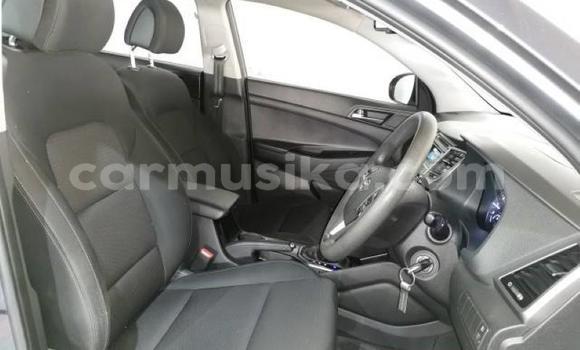 Acheter Occasion Voiture Hyundai Tucson Beige à Beitbridge, Matabeleland South Acheter Occasion Voiture Hyundai Tucson Beige à Beitbridge, Matabeleland South