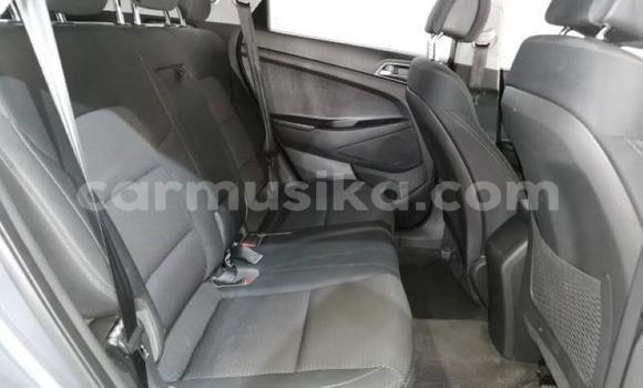 Acheter Occasion Voiture Hyundai Tucson Beige à Beitbridge, Matabeleland South Acheter Occasion Voiture Hyundai Tucson Beige à Beitbridge, Matabeleland South