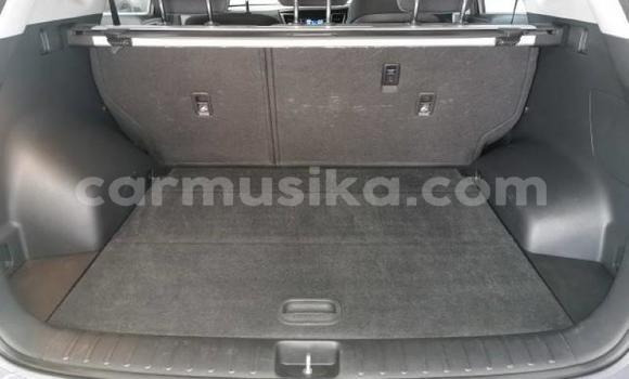 Acheter Occasion Voiture Hyundai Tucson Beige à Beitbridge, Matabeleland South Acheter Occasion Voiture Hyundai Tucson Beige à Beitbridge, Matabeleland South