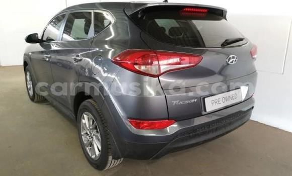 Acheter Occasion Voiture Hyundai Tucson Beige à Beitbridge, Matabeleland South Acheter Occasion Voiture Hyundai Tucson Beige à Beitbridge, Matabeleland South