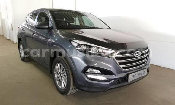 Acheter Occasion Voiture Hyundai Tucson Beige à Beitbridge, Matabeleland South Acheter Occasion Voiture Hyundai Tucson Beige à Beitbridge, Matabeleland South