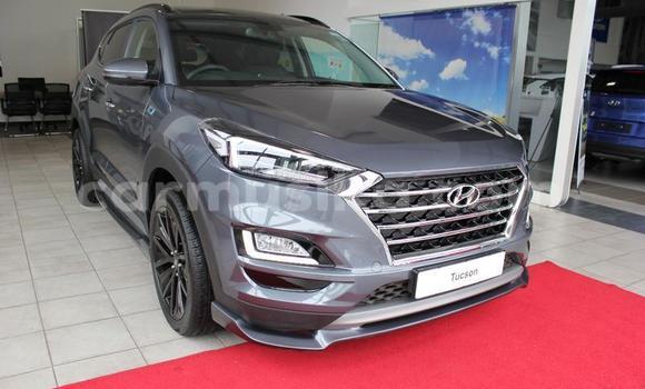 Buy Used Hyundai Tucson Beige Car in Beitbridge in Matabeleland South