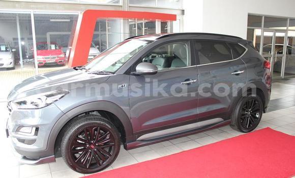 Acheter Occasion Voiture Hyundai Tucson Beige à Beitbridge, Matabeleland South Acheter Occasion Voiture Hyundai Tucson Beige à Beitbridge, Matabeleland South