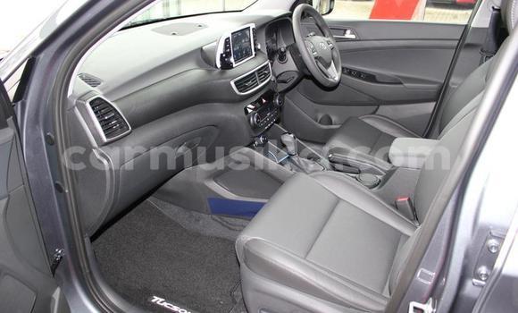 Acheter Occasion Voiture Hyundai Tucson Beige à Beitbridge, Matabeleland South Acheter Occasion Voiture Hyundai Tucson Beige à Beitbridge, Matabeleland South