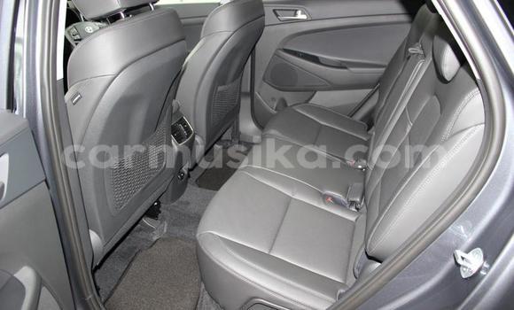 Acheter Occasion Voiture Hyundai Tucson Beige à Beitbridge, Matabeleland South Acheter Occasion Voiture Hyundai Tucson Beige à Beitbridge, Matabeleland South