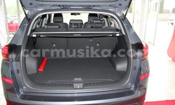 Acheter Occasion Voiture Hyundai Tucson Beige à Beitbridge, Matabeleland South Acheter Occasion Voiture Hyundai Tucson Beige à Beitbridge, Matabeleland South