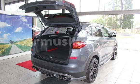 Acheter Occasion Voiture Hyundai Tucson Beige à Beitbridge, Matabeleland South Acheter Occasion Voiture Hyundai Tucson Beige à Beitbridge, Matabeleland South