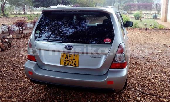 Acheter Occasion Voiture Subaru Forester Gris à Bulawayo, Bulawayo Acheter Occasion Voiture Subaru Forester Gris à Bulawayo, Bulawayo