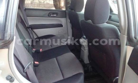 Acheter Occasion Voiture Subaru Forester Gris à Bulawayo, Bulawayo Acheter Occasion Voiture Subaru Forester Gris à Bulawayo, Bulawayo