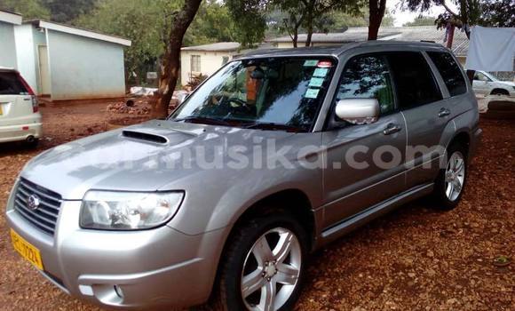 Acheter Occasion Voiture Subaru Forester Gris à Bulawayo, Bulawayo Acheter Occasion Voiture Subaru Forester Gris à Bulawayo, Bulawayo