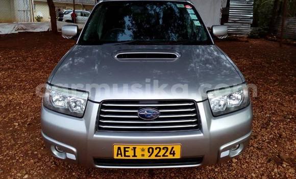 Acheter Occasion Voiture Subaru Forester Gris à Bulawayo, Bulawayo Acheter Occasion Voiture Subaru Forester Gris à Bulawayo, Bulawayo