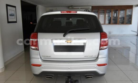 Nunua Ilio tumika Chevrolet Captiva Fedha Gari ndani ya Beitbridge nchini Matabeleland Kusini Nunua Ilio tumika Chevrolet Captiva Fedha Gari ndani ya Beitbridge nchini Matabeleland Kusini