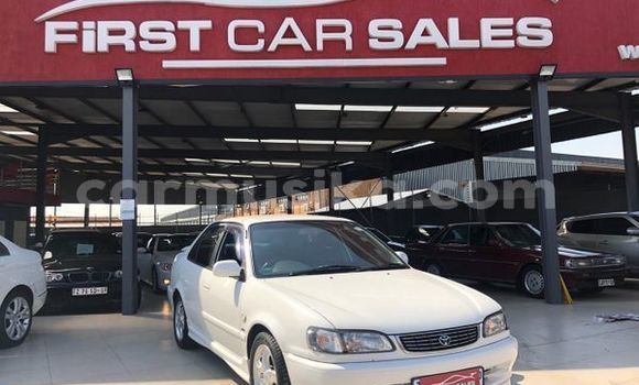 Tenga Tsaru Toyota Corolla Chena Mota in Beitbridge in Matabeleland South