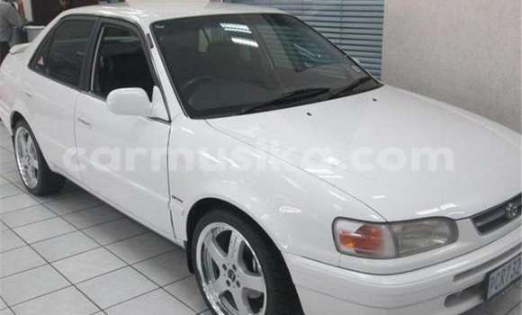 Tenga Tsaru Toyota Corolla Chena Mota in Beitbridge in Matabeleland South