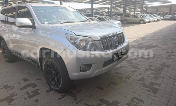 Acheter Occasion Voiture Toyota Land Cruiser Prado Gris à Bulawayo, Bulawayo Acheter Occasion Voiture Toyota Land Cruiser Prado Gris à Bulawayo, Bulawayo