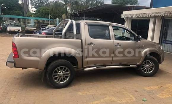 Acheter Occasion Voiture Toyota Hilux Beige à Bulawayo, Bulawayo Acheter Occasion Voiture Toyota Hilux Beige à Bulawayo, Bulawayo