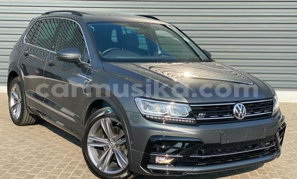 Tenga Tsaru Volkswagen Tiguan Zvimwe Mota in Harare in Harare Tenga Tsaru Volkswagen Tiguan Zvimwe Mota in Harare in Harare