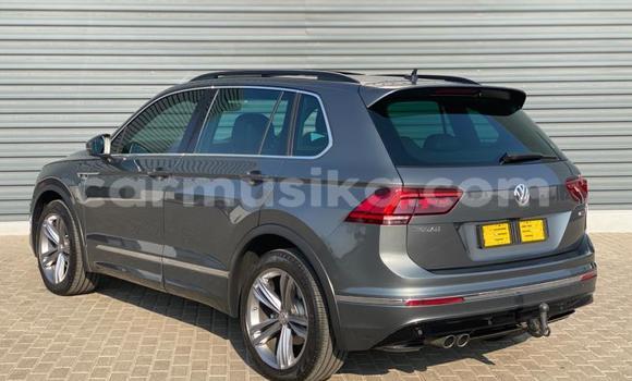 Tenga Tsaru Volkswagen Tiguan Zvimwe Mota in Harare in Harare Tenga Tsaru Volkswagen Tiguan Zvimwe Mota in Harare in Harare