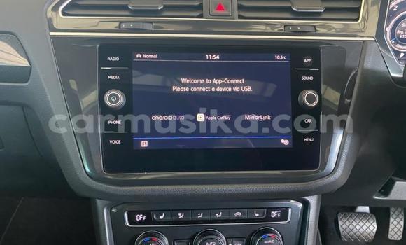 Tenga Tsaru Volkswagen Tiguan Zvimwe Mota in Harare in Harare Tenga Tsaru Volkswagen Tiguan Zvimwe Mota in Harare in Harare