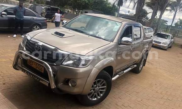 Acheter Occasion Voiture Toyota Hilux Beige à Bulawayo, Bulawayo Acheter Occasion Voiture Toyota Hilux Beige à Bulawayo, Bulawayo