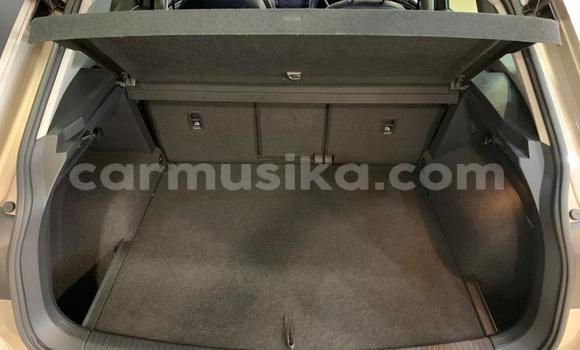 Tenga Tsaru Volkswagen Tiguan Zvimwe Mota in Harare in Harare Tenga Tsaru Volkswagen Tiguan Zvimwe Mota in Harare in Harare