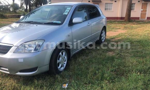 Acheter Occasion Voiture Toyota Runx Gris à Bulawayo, Bulawayo Acheter Occasion Voiture Toyota Runx Gris à Bulawayo, Bulawayo